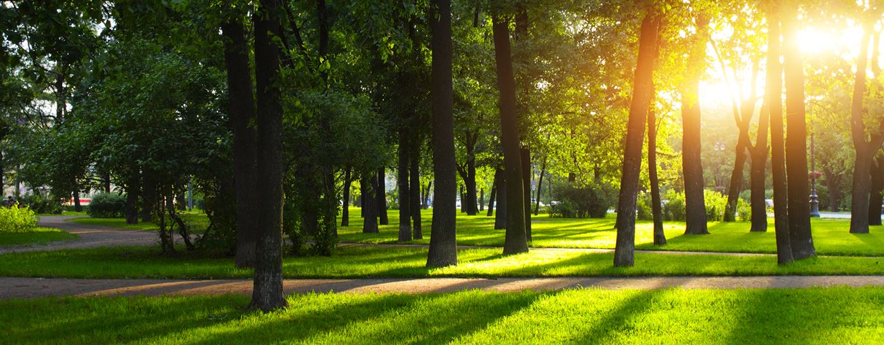 Best US Cities by Public Parks and Walkability