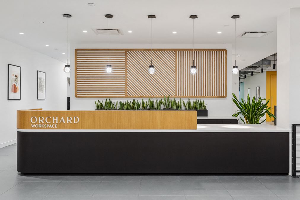 The Orchard by JLL, 115 Myrtle Ave., 7th & 8th Floors, Brooklyn, NY 11201