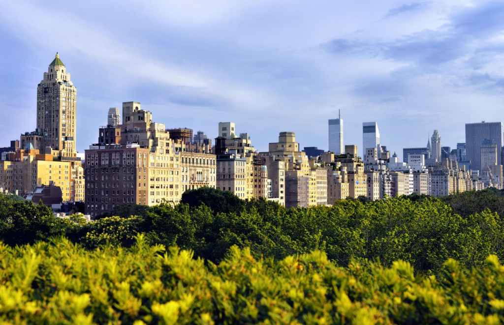 midtown manhattan skyline from above the central park tree line