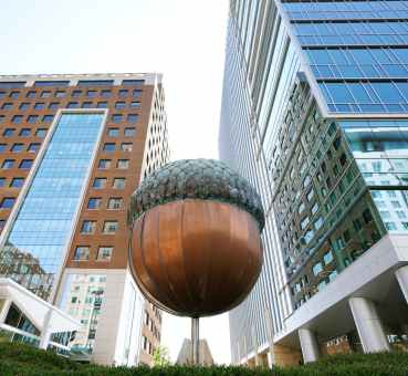 downtown raleigh north carolina acorn