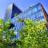 looking up to an office building facade above green-leaved tree line