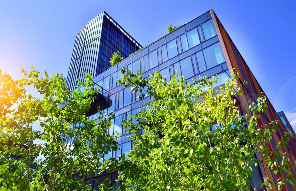 looking up to an office building facade above green-leaved tree line
