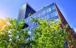 looking up to an office building facade above green-leaved tree line