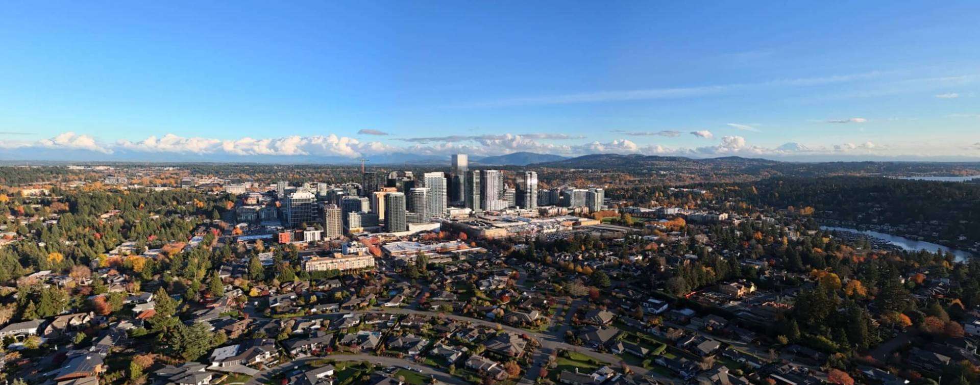 bellevue washington central business district