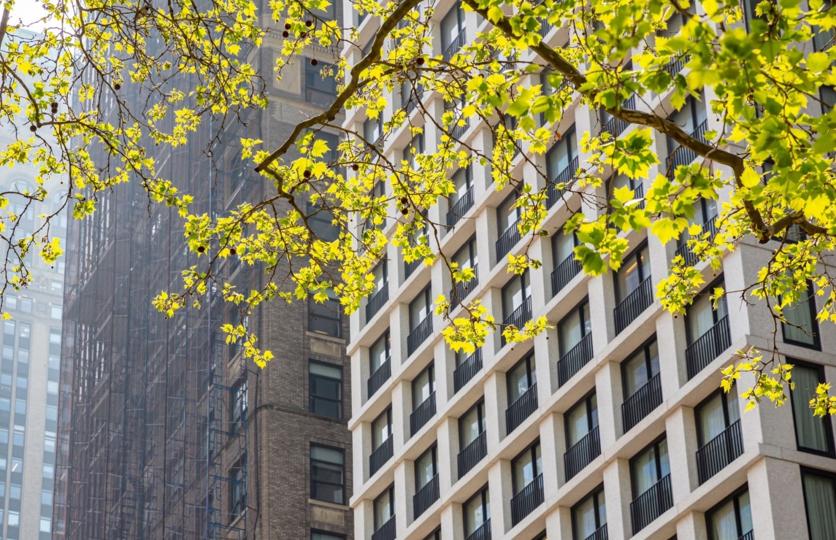 march 2026 national office markets report