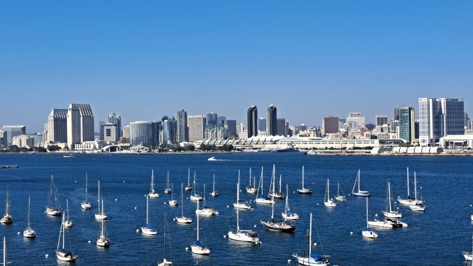 view of downtown san diego california from across the san diego bay