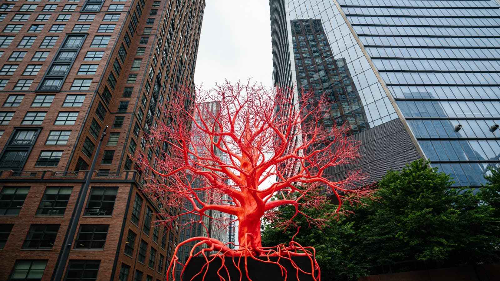 View of Madison Avenue buildings and tree sculpture