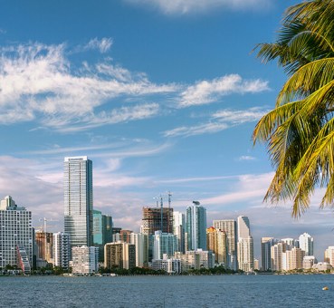 The Miami waterfront