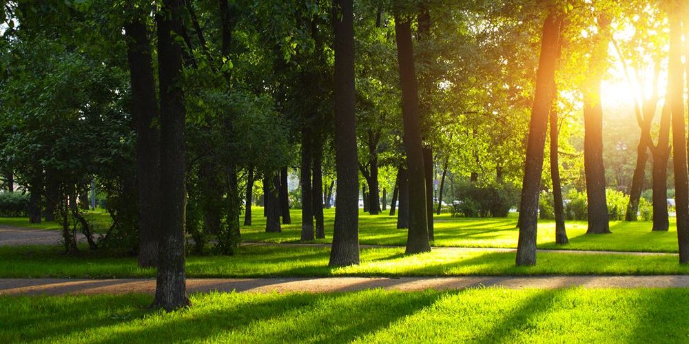 Best US Cities by Public Parks and Walkability
