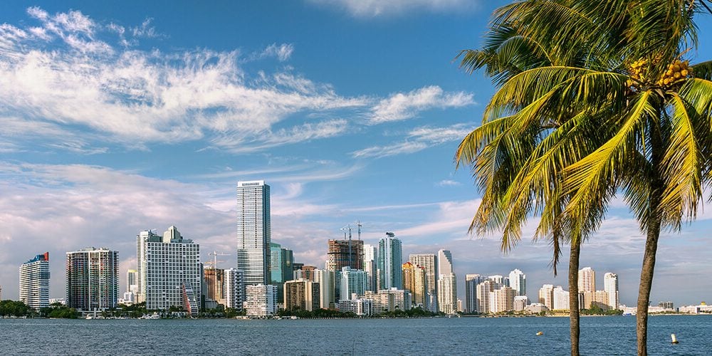 The Miami waterfront