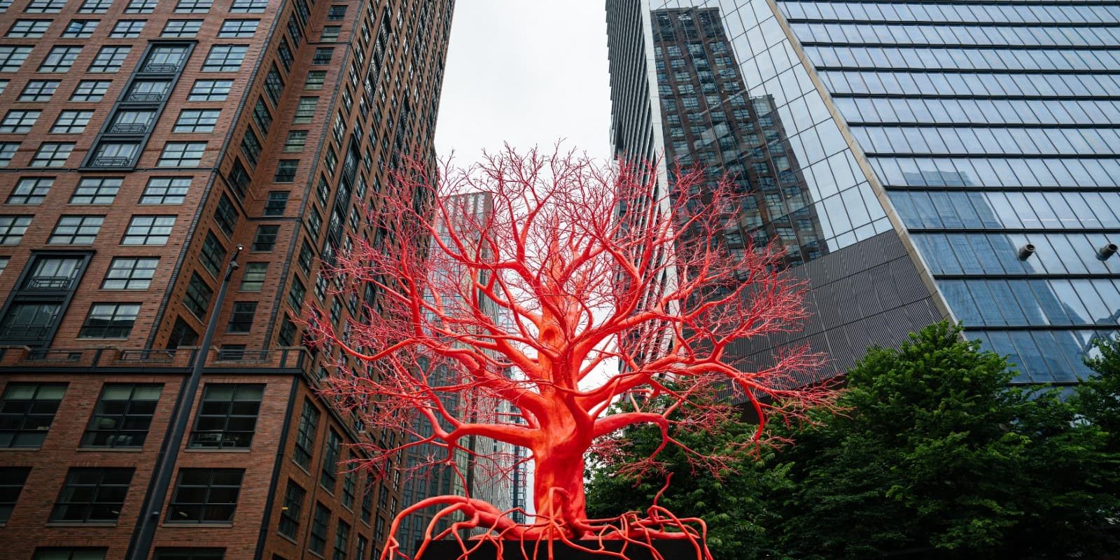 View of Madison Avenue buildings and tree sculpture