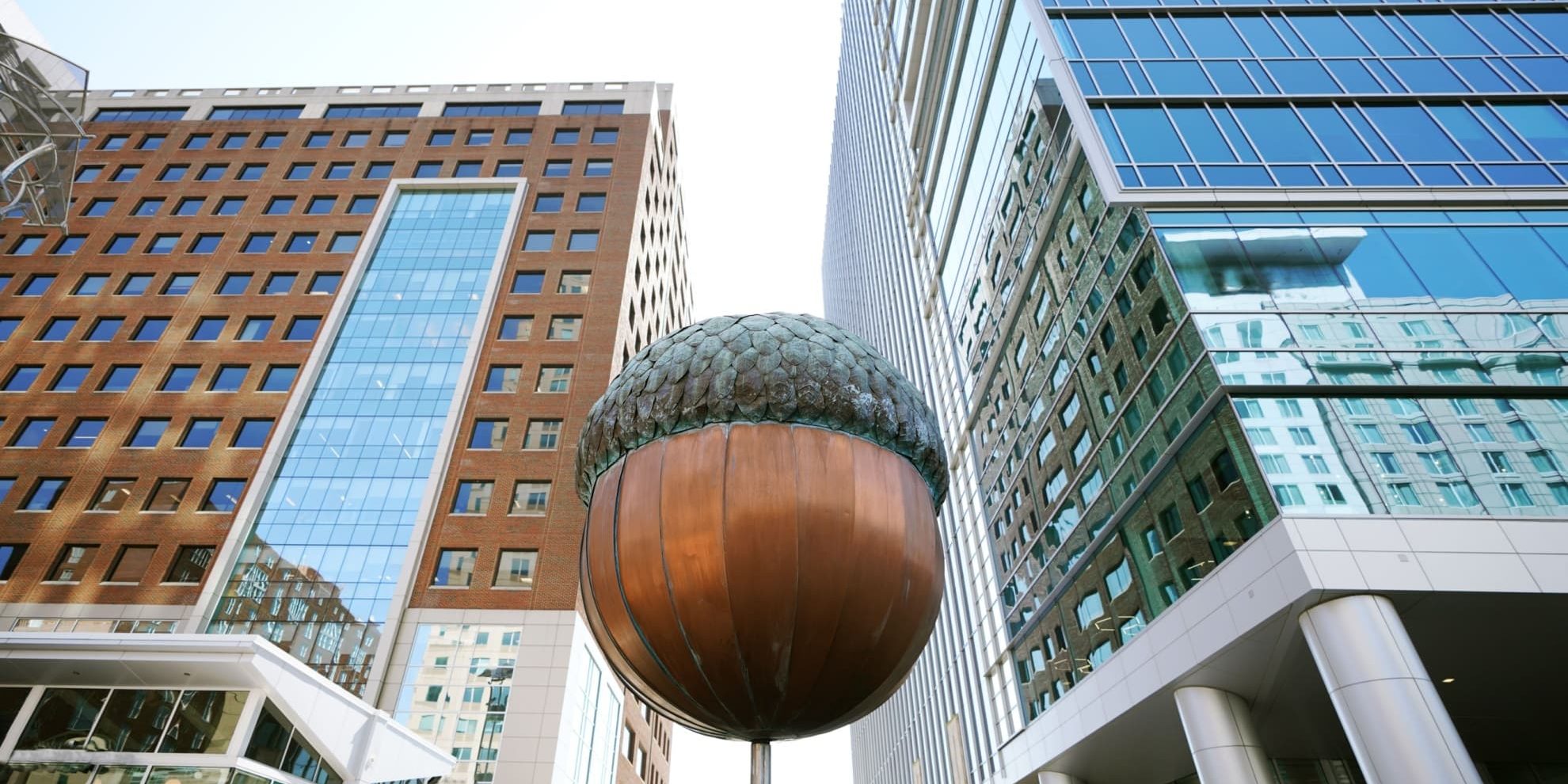 downtown raleigh north carolina acorn