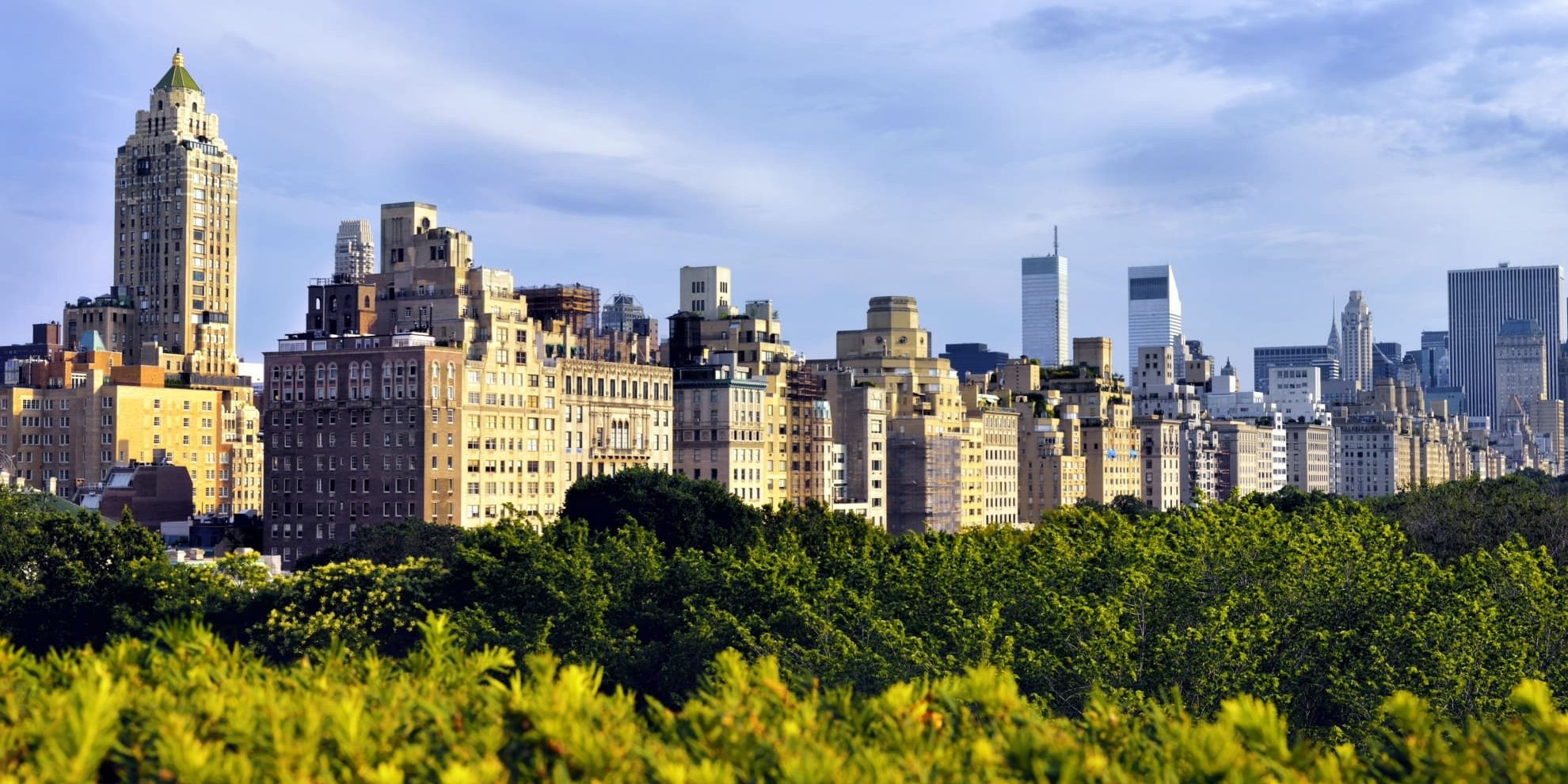 midtown manhattan skyline from above the central park tree line