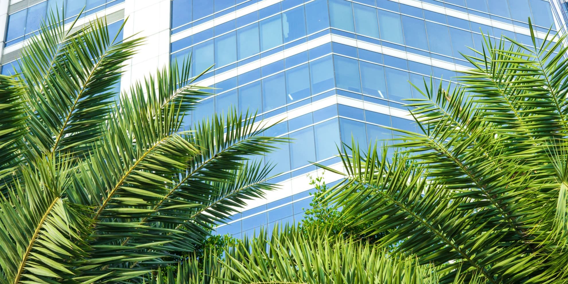 miami office building