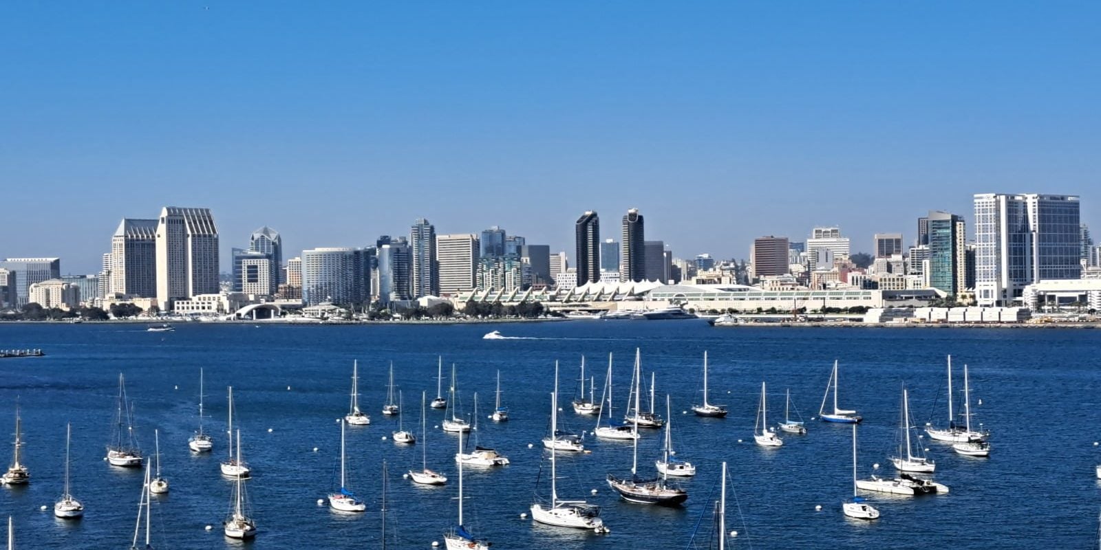 view of downtown san diego california from across the san diego bay