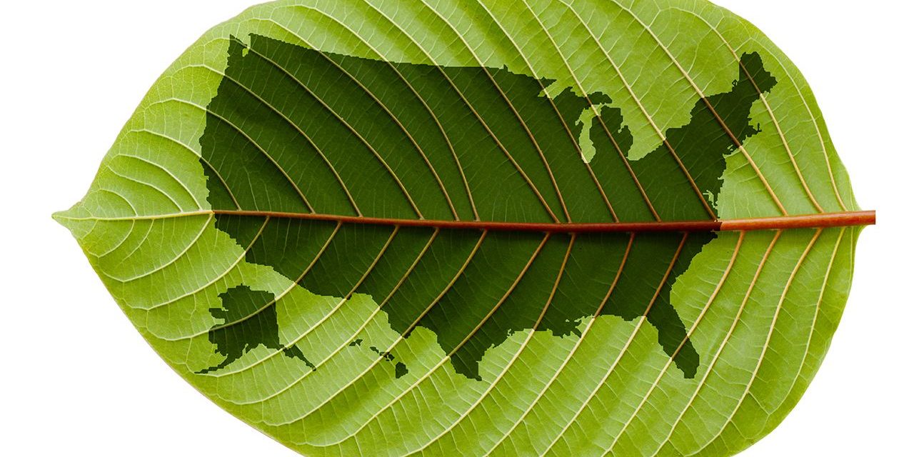 shutterstock_471327128_leaf_map1280x853-compressor