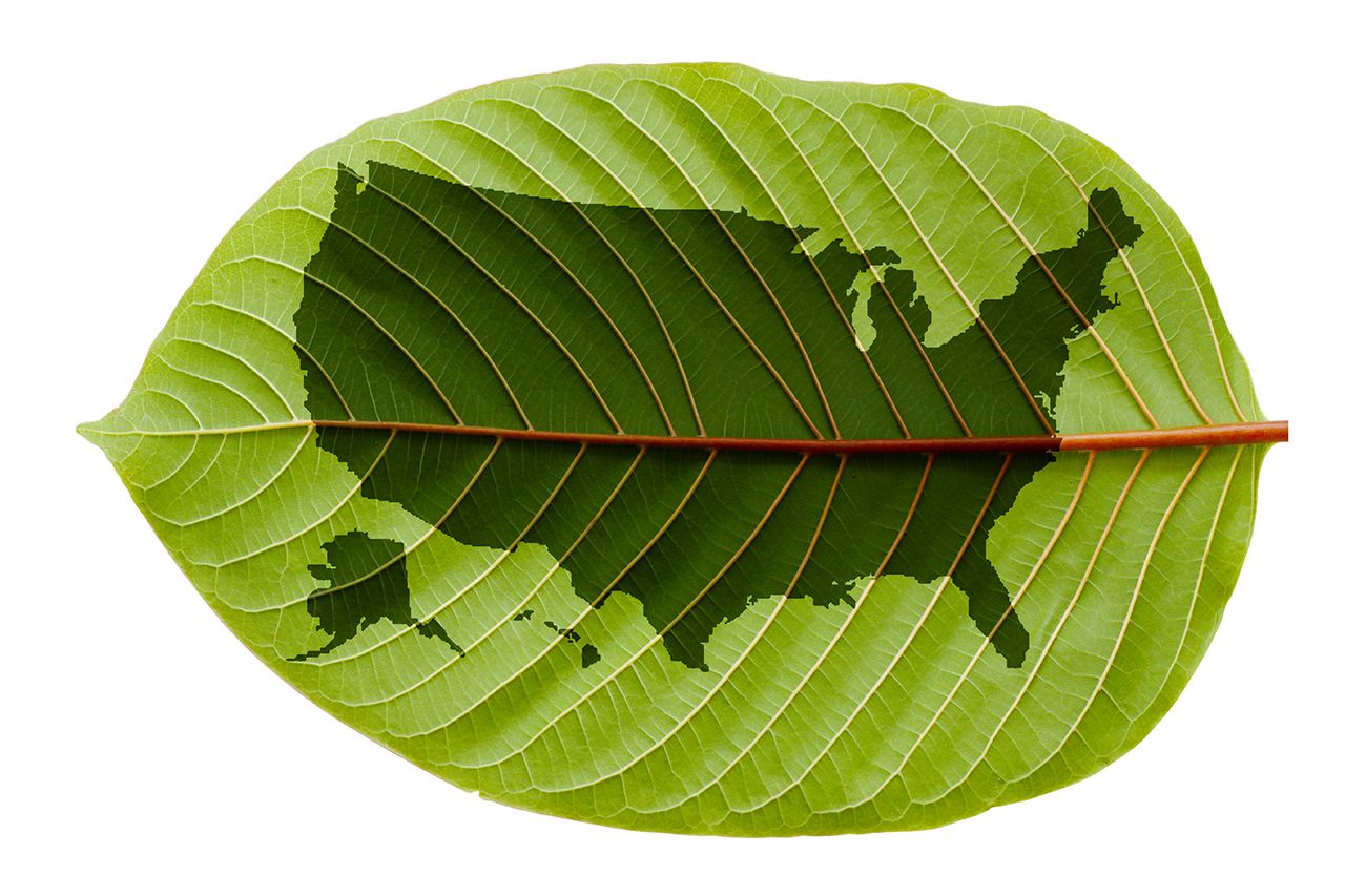shutterstock_471327128_leaf_map1280x853-compressor