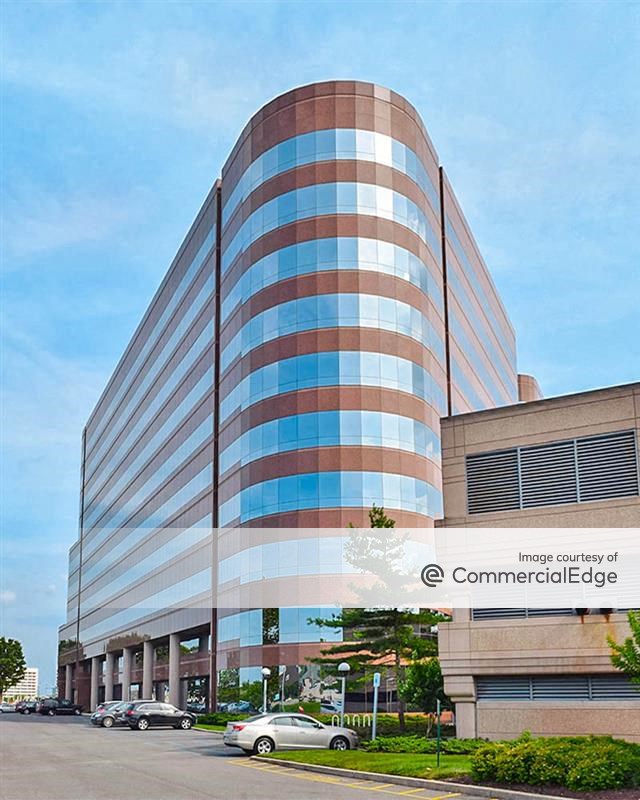 The Omni