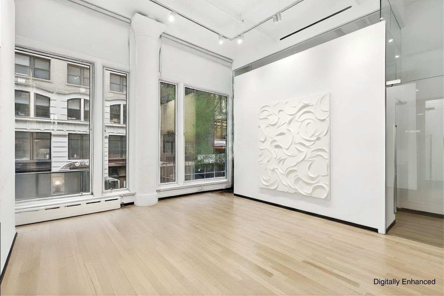 Commercial Condo for Sale, 25 E 21st St Unit #2